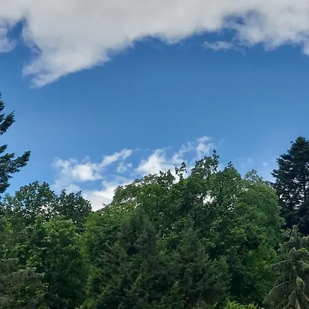 Apartment Bruene Bad Wildungen