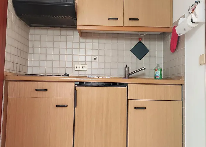 Bruene * 巴特维尔东根